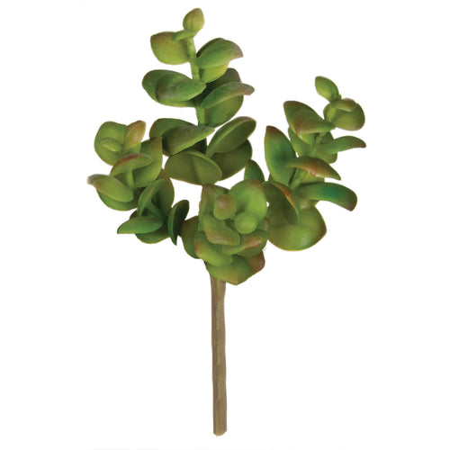Green Succulent Pick