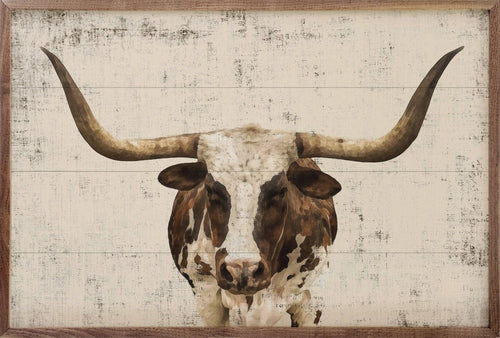 24x16 Longhorn Whitewash