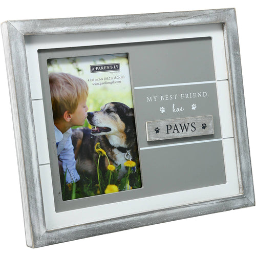 4x6 Pet - Frame