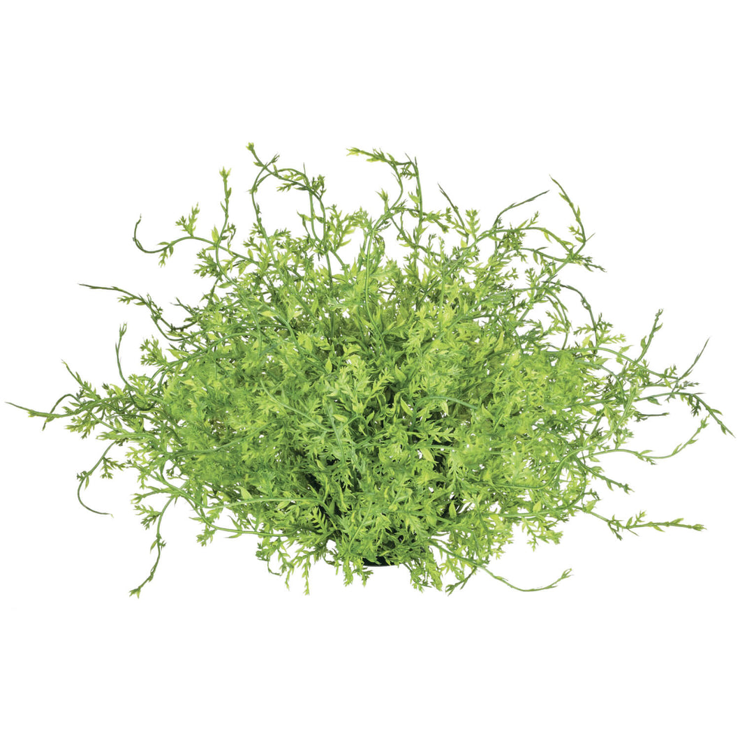 Coral Fern Half Orb