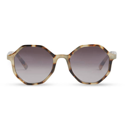Daisy Florence Sunglasses in Tortoise