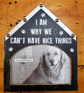 Dog House Frame