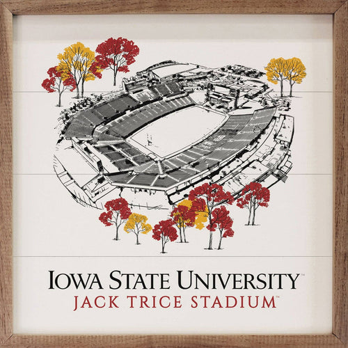 Iowa State Sketch Football Stadium